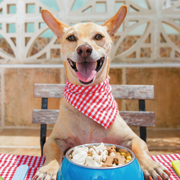 สูตรอาหารตามช่วงอายุ (Nutrition) สูตรอาหารตามช่วงอายุ (Nutrition)